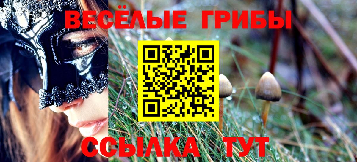 Кимры  Галлюциногенные грибы MAGIC MUSHROOMS  Псилоцибиновые грибы MAGIC MUSHROOMS  Вход с VPN 